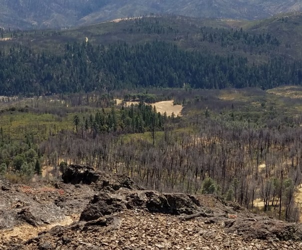 The Frank Bucknell Place